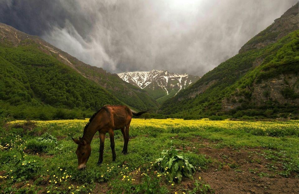 چرا کردان یک مقصد مناسب برای تهرانیها در سایت میهمان شو میباشد؟