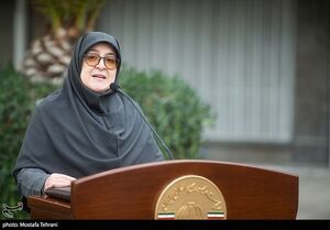 مهاجرانی: رفع ناترازی‌ها در برنامه است / تصویب واردات خودرو