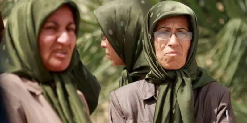 جوانان،تشكيلات