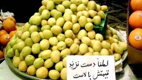 ميوه،تومان،توليد،كشاورزي،قيمت،شفاف،بالاي،ضروري،دلايل،تأمين،ك ...