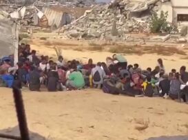 جنایت علیه بشریت با عنوان بشردوستی+ فیلم