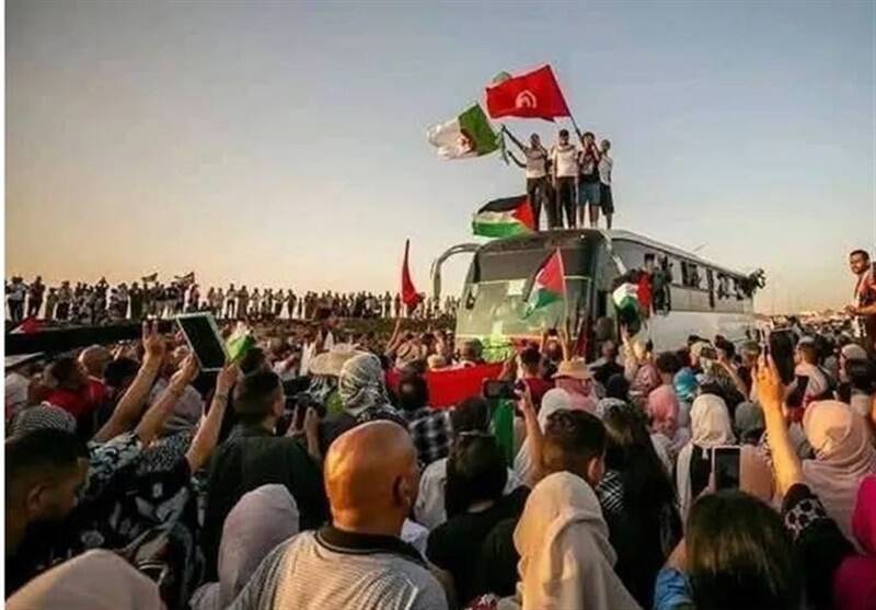 كاروان،مصر،پايداري،قاهره،غزه،ورود،مصري،فعالان،فلسطين،بازداشت ...