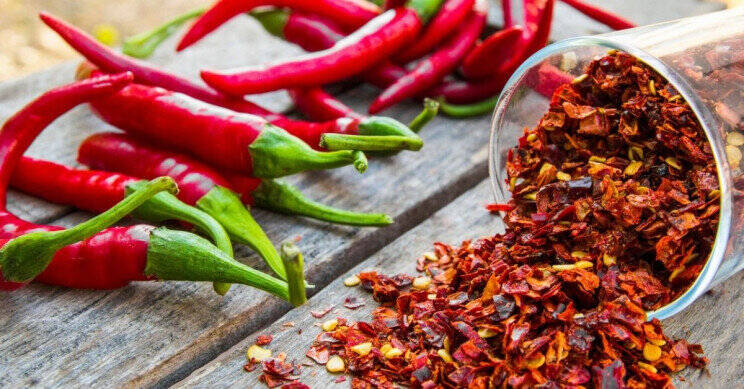 تند،مصرف،غذاهاي،معده،كاهش،گوارشي،گوارش،التهاب