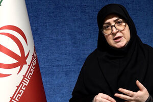 فیلم / مهاجرانی: تقسیم کار دولت برای کنترل اوضاع در قالب 4 کمیته