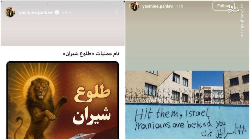 رضا پهلوی هم به کمپین کودککشها پیوست!/ چرا  گروهک سلطنتطلب با جنایات رژیم اسرائیل همراهی میکند؟