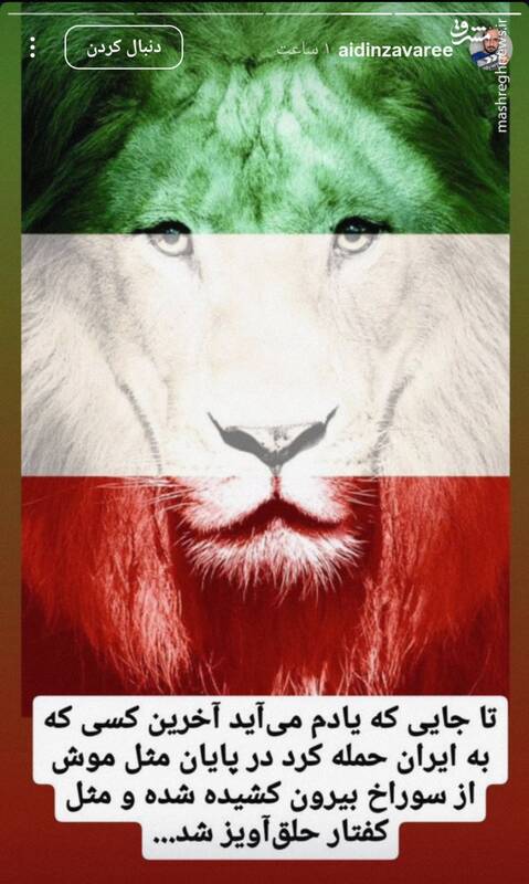 شکست پروژه "شکاف ملی" نتانیاهو در ایران / هنرمندان چگونه به نتانیاهو رو دست زدند؟ 13