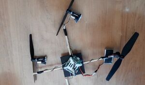 کشف و ضبط ریزپرنده شناسایی در اراک