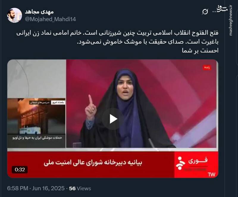 مهدی مجاهد: خانم امامی نماد زن ایرانی باغیرت است