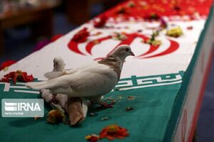 تعداد شهدای هلال احمر در تهران به سه تن رسید