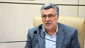 پیام تسلیت وزیر بهداشت در پی شهادت تعدادی از اعضای تیم سلامت
