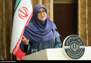مهاجرانی: واردات کالاهای اساسی 53 درصد رشد داشت