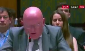 فیلم/ نماینده روسیه: چگونه از ایران می خواهید که خویشتنداری کند؟ 