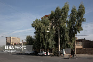 وزش باد شدید و رگبار در انتظار برخی استانها