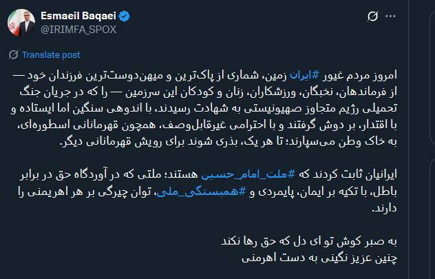 بقائی: ایرانیان ثابت کردند که ملت امام حسین هستند