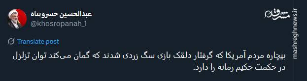 بیچاره مردم آمریکا که گرفتار دلقک بازی سگ زرد شدند