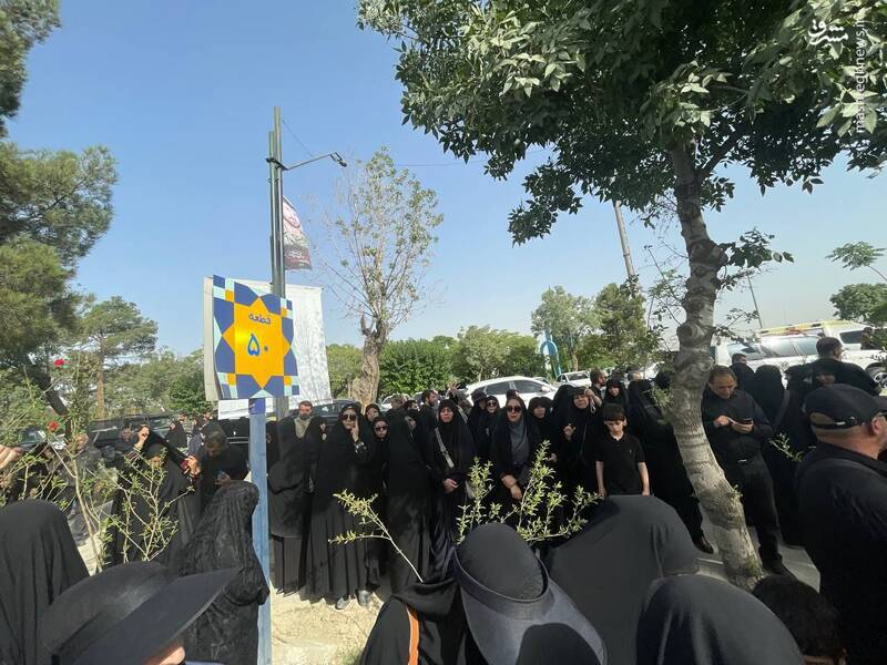 سردار