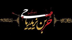 استوری/ حر کن مرا که جان من از شرم پر شده من را که راه نیست به جمع حبیب‌ها