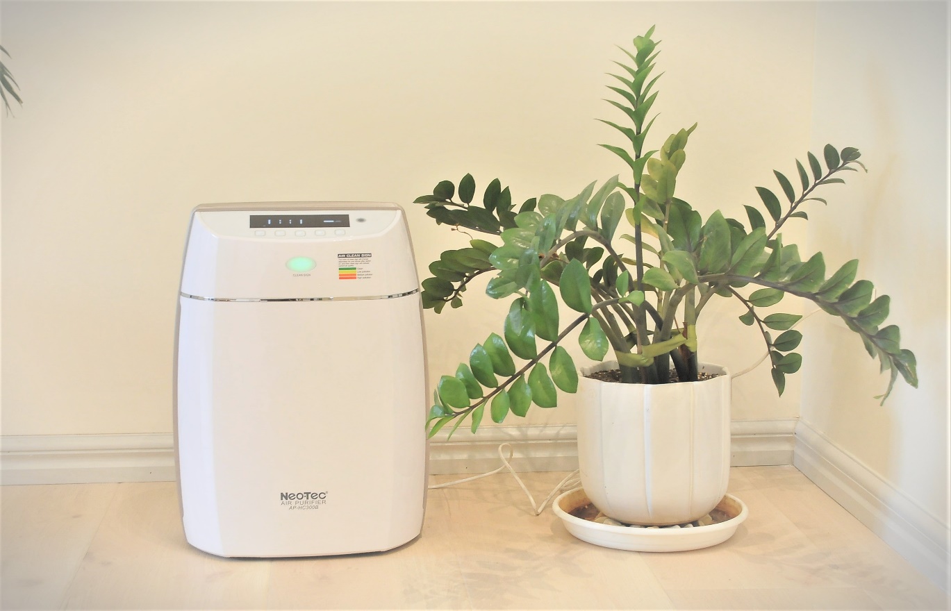 آلودگی هوا با طبیعت چه میکند؟