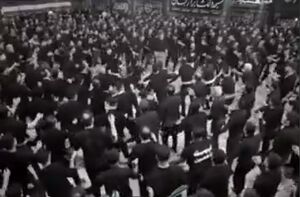 فیلم/ اجرای قطعه "ایران" سالار عقیلی در مسجد دلگشا برازجان