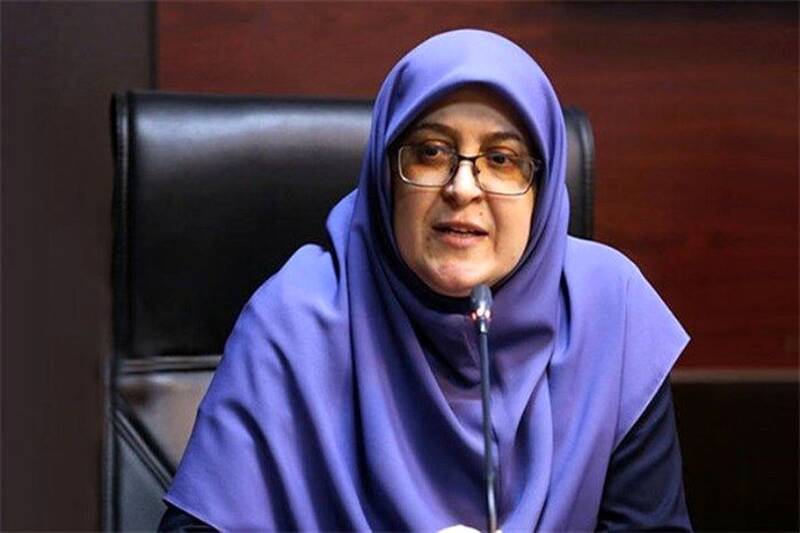 فیلم/ مهاجرانی: برای مذاکره هیچ گونه تاریخی تعیین نشده است