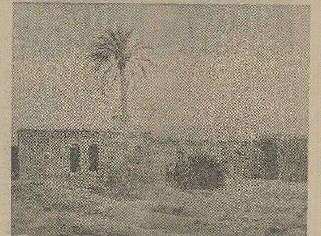 گفتوگو با همسر رئیسعلی دلواری؛ برای وطن میایستیم!