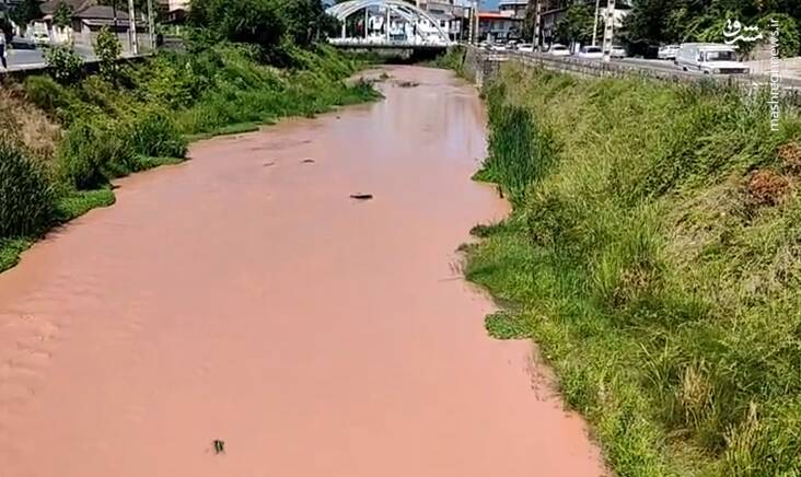 فیلم/ آلودگی رودخانه گردکل نوشهر