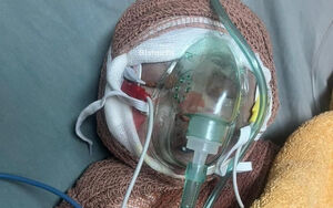 روایتی از شهادت رایان، نوزاد ۲ ماهه به همراه مادرش +فیلم