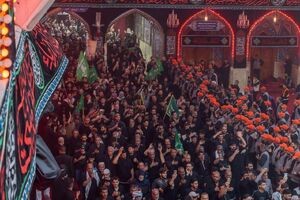 فیلم/ اهتزاز پرچم ایران در دستهٔ طویریج کربلا