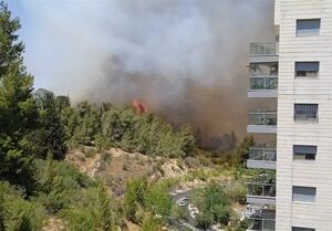 ادامه آتش سوزی در شمال فلسطین اشغالی