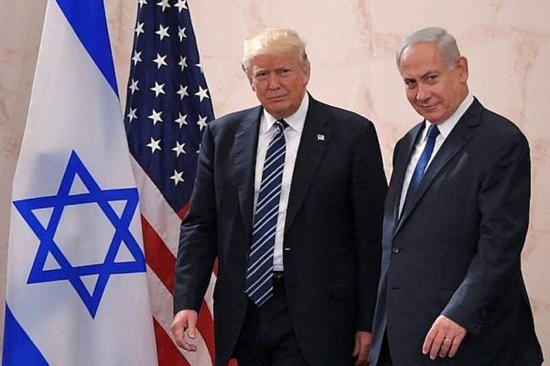 بيطار،ماكت،چشم،آمريكا،ايران،چارپايان