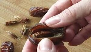 هسته خرما منبعی نوظهور برای پیشگیری از دیابت، سرطان و بیماری‌های قلبی