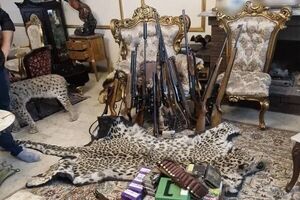 کشف محموله حیوانات تاکسیدرمی و سلاح در تهران