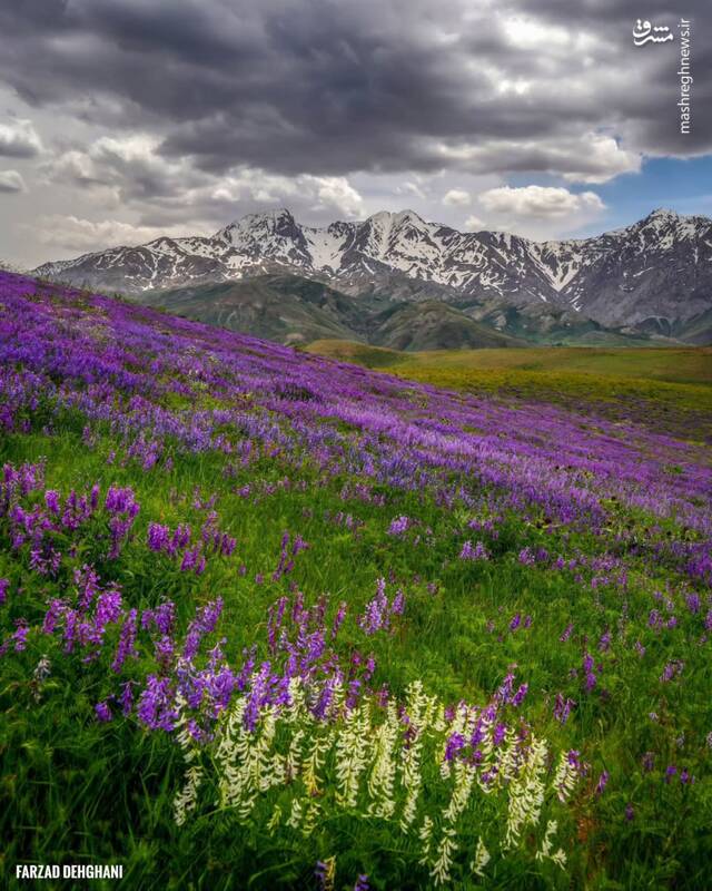 عکس / طبیعت چشمنواز لرستان