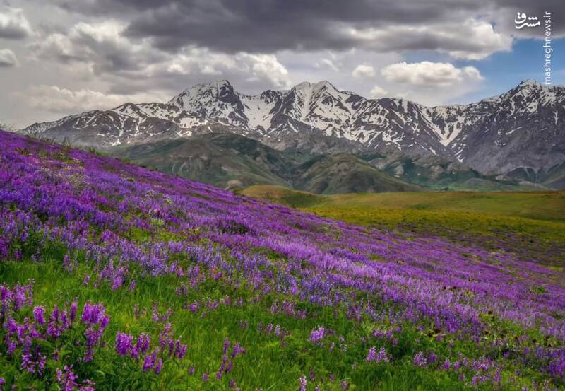 عکس/ طبیعت چشم‌نواز لرستان