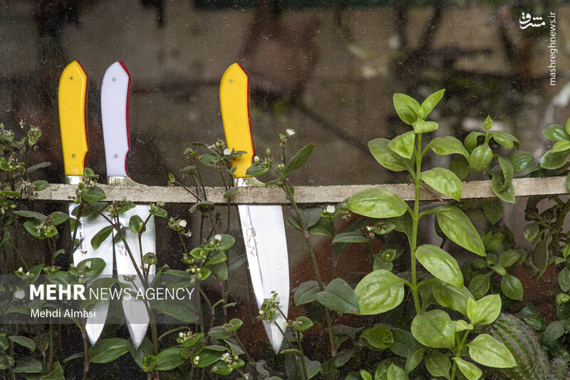 عکس / چاقوی زنجان؛ میراثی در دست استادکاران 8