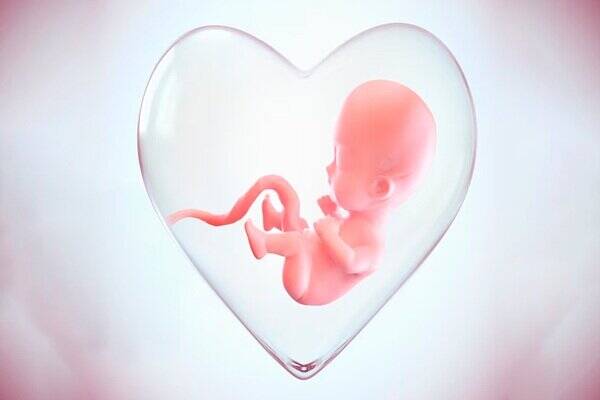 جنين،زوجين،بارداري،فريز،اسپرم،سلامت،تخمك،سالم،IVF،سقط،مراكز، ...