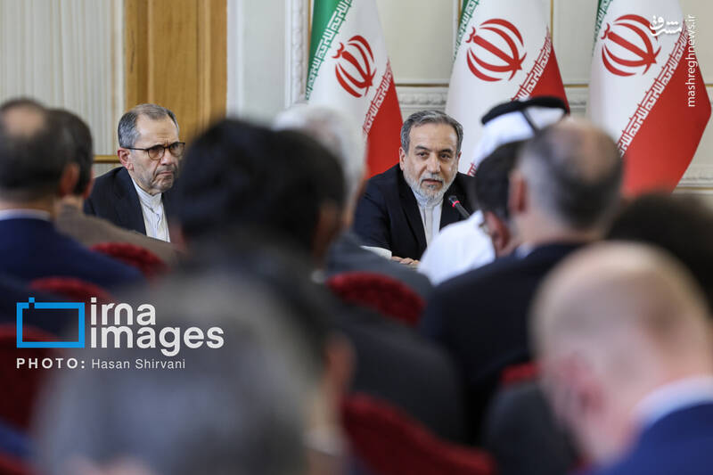 عکس / نشست عراقچی با سفرای کشورهای خارجی 18