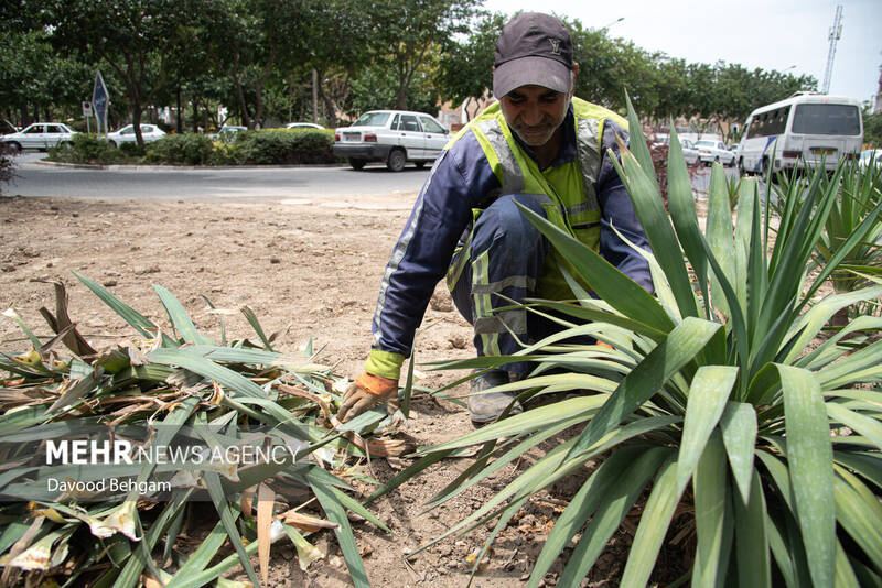 تابستان داغ مشهد