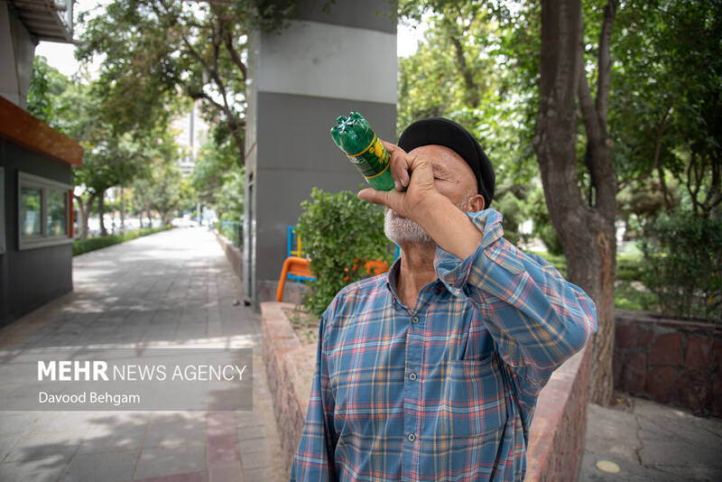 تابستان داغ مشهد