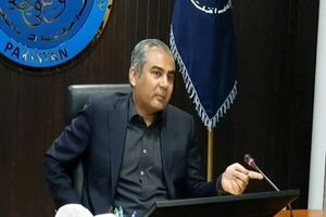 وزیر کشور پاکستان: میلیونها زائر اربعین اعتبار بزرگ کشور عراق است