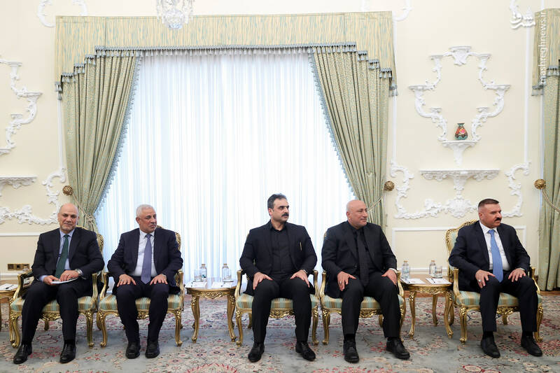عکس / دیدار وزیر کشور عراق با رئیسجمهور 8
