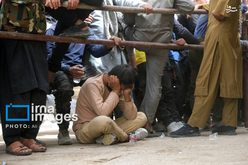 عکس / خروج اتباع افغان غیرمجاز از مرز میلک 37