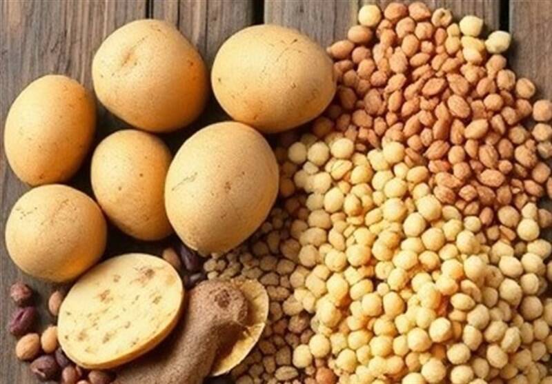 صادرات،حبوبات