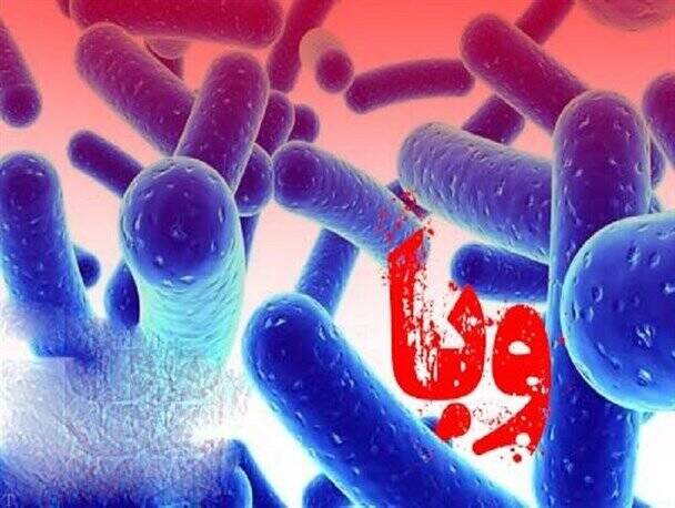 بيماري،وبا،آب،بهداشت،بهداشتي،بيمار،غذايي،رعايت،درمان،مواد،اس ...