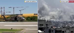 راز استراتژی مرگبار "ماهی صحرا"+ فیلم