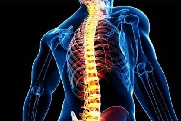 درد،التهاب،كاهش،تركمان،فقرات،كمر
