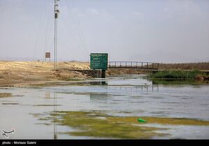 نابودی تالابهای جهان تا سال 2050؛ زیان 39 تریلیون دلاری کشورها