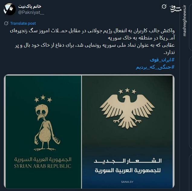 عقابی که برای دفاع از خاک خود بال و پر ندارد+ عکس