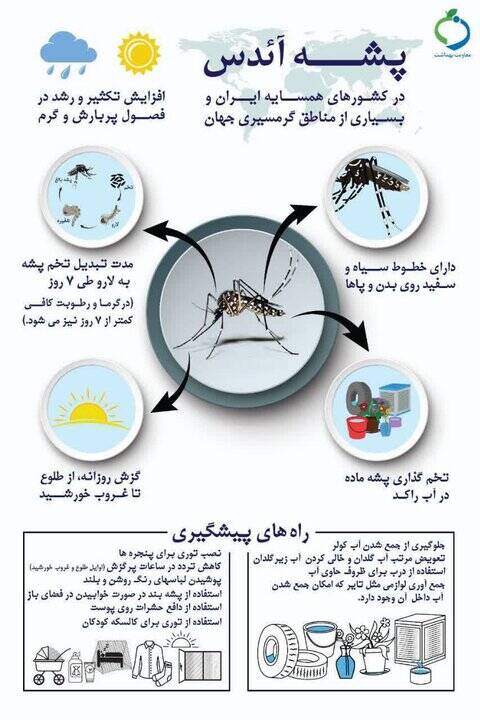 هشدار وزارت بهداشت درباره پشه آئدس 3