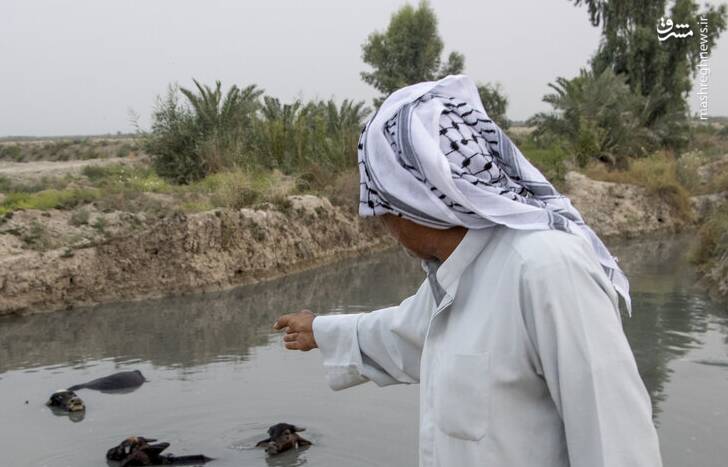 آب،شرب،شبكه،اب،دز،كرخه،فرسودگي،آبرساني